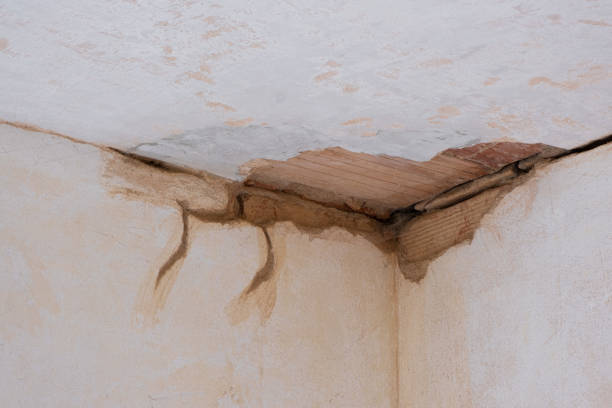 Best Professional water damage repair  in Lookout Mountain, GA