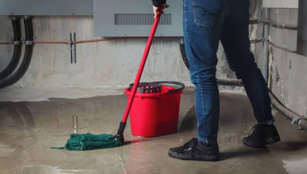 Best Fire Damage Restoration  in Lookout Mountain, GA