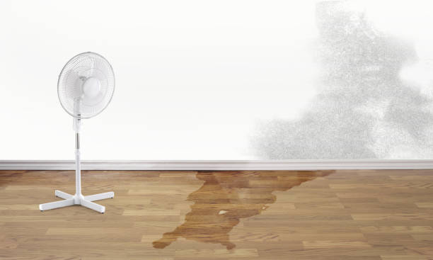 Best Emergency water damage restoration  in Lookout Mountain, GA