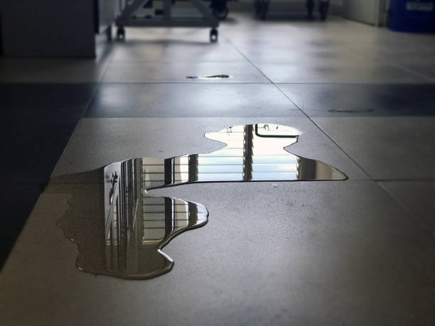 Best 24-hour water damage restoration  in Lookout Mountain, GA