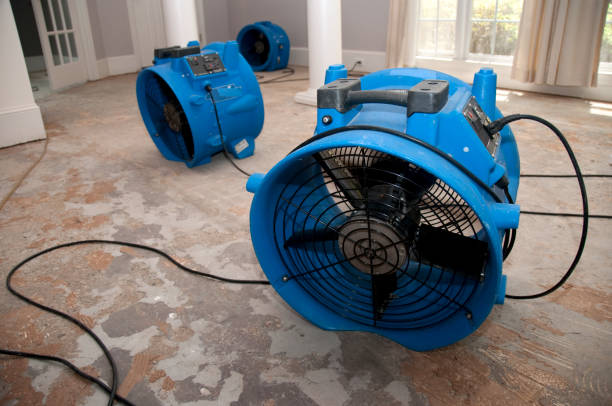 Best Flooded house restoration  in Lookout Mountain, GA